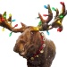 A Very Holly Moosemas